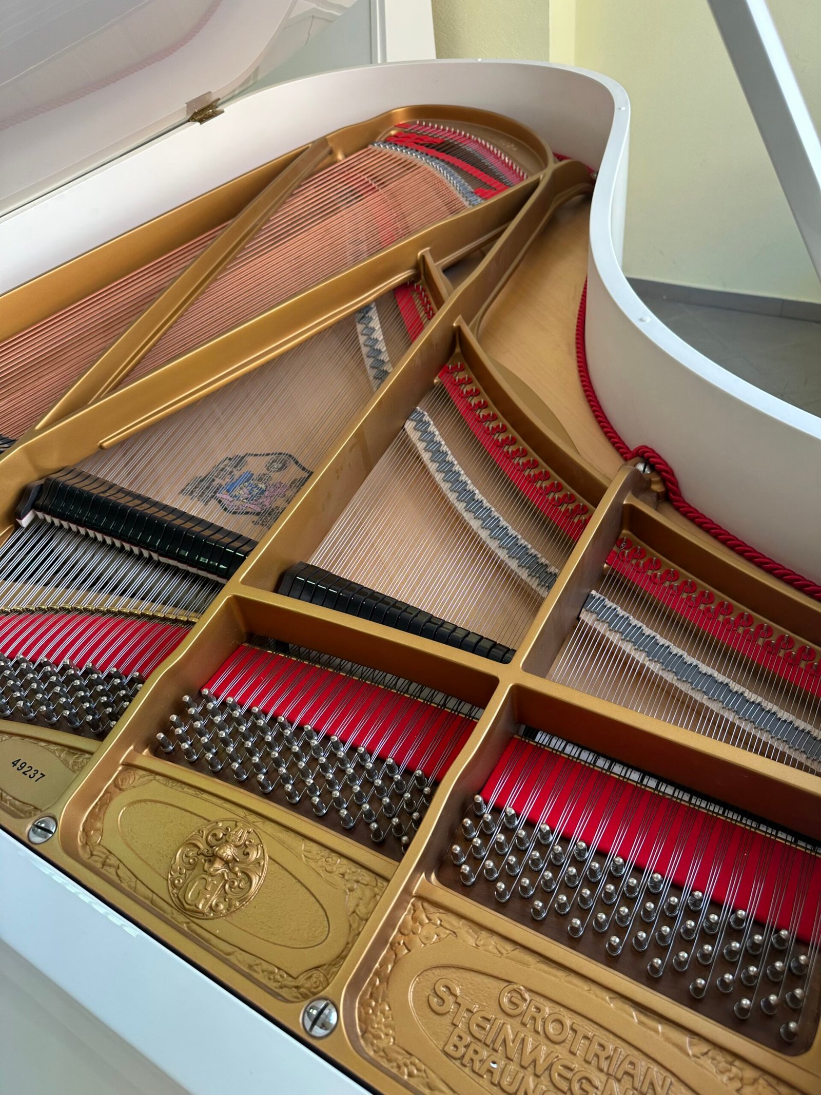 Fortepijonas "Grotrian Steinweg" 189 - Paveikslėlis 6